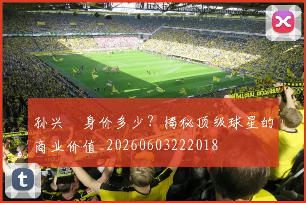 孙兴慜身价多少?揭秘顶级球星的商业价值_20260603222018