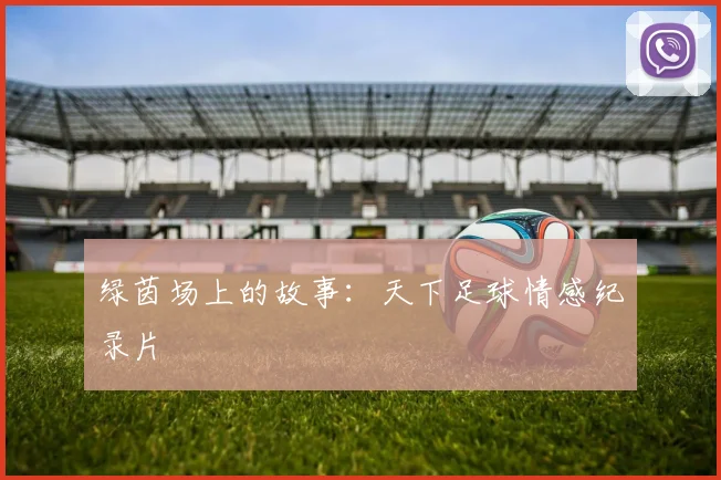绿茵场上的故事：天下足球情感纪录片
