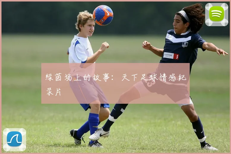 绿茵场上的故事：天下足球情感纪录片