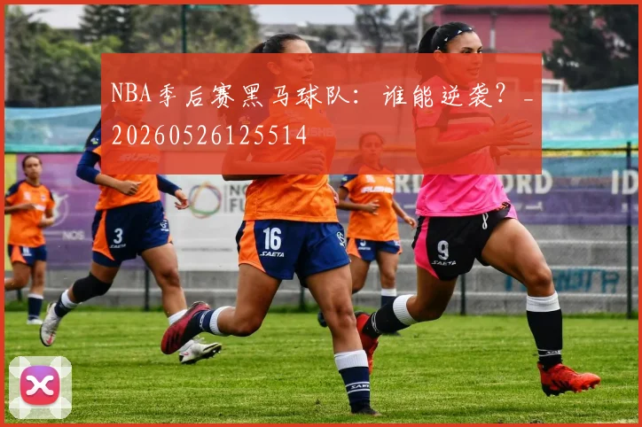 NBA季后赛黑马球队:谁能逆袭?_20260526125514