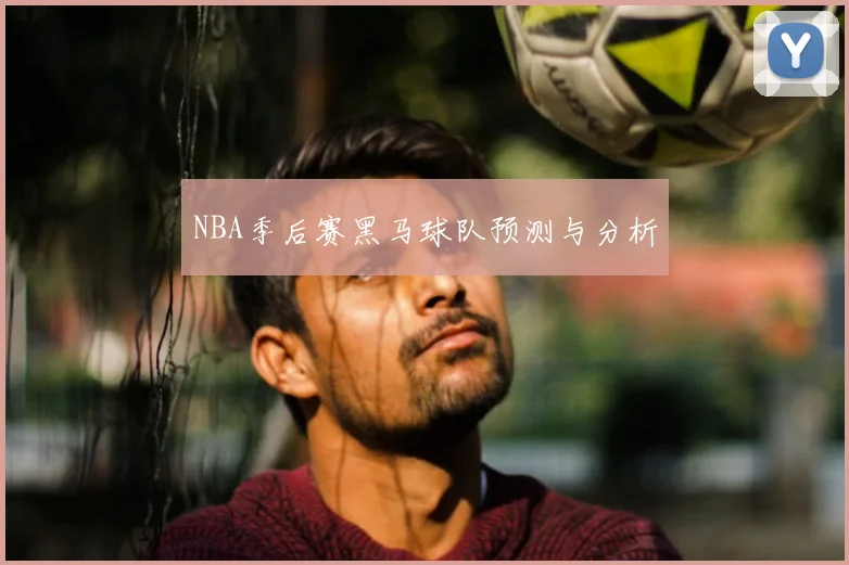 NBA季后赛黑马球队预测与分析